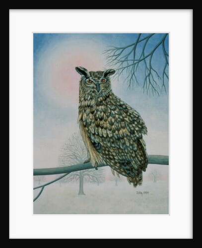 Winter-Owl by Ditz Ditz