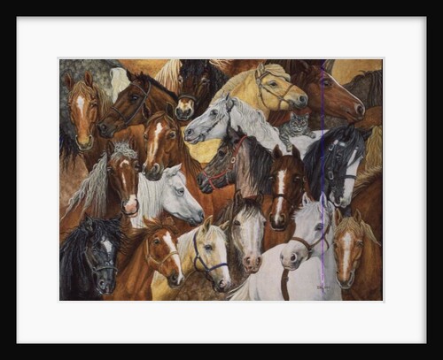 Dee's Horse-Blanket by Ditz Ditz