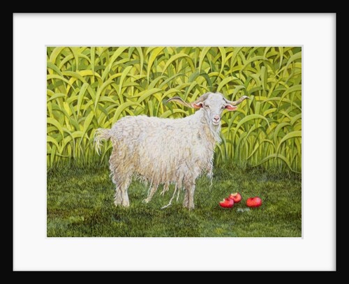 Alan's Goat by Ditz Ditz
