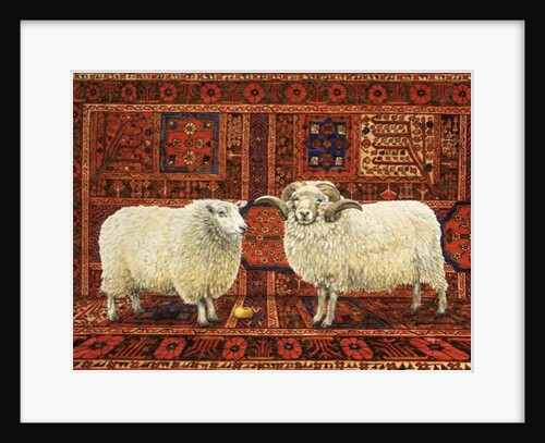 Persian Wool by Ditz Ditz