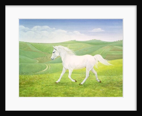 The Landscape Horse by Ditz Ditz