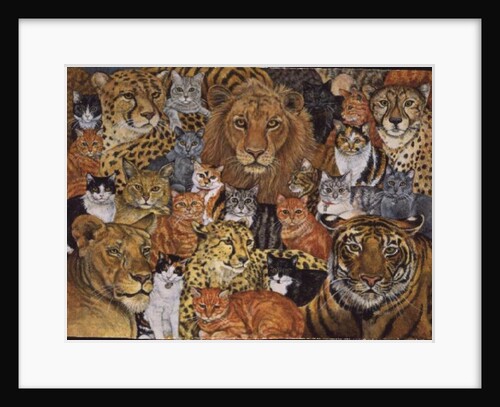 Semi Wild Cat Spread by Ditz Ditz