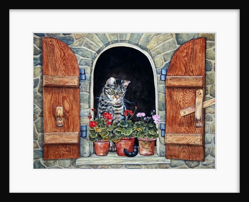Susie's Window by Ditz Ditz
