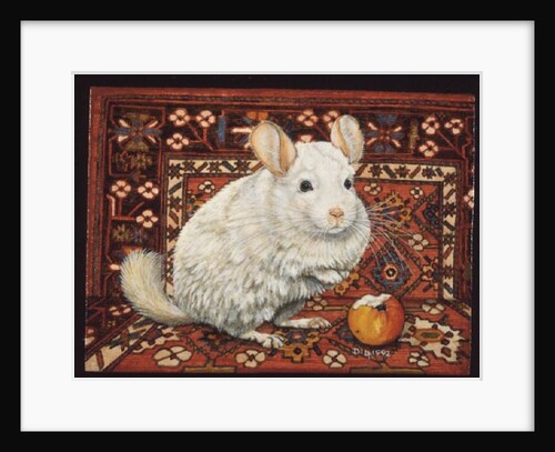 The Carpet-Chinchilla, 1992 by Ditz Ditz