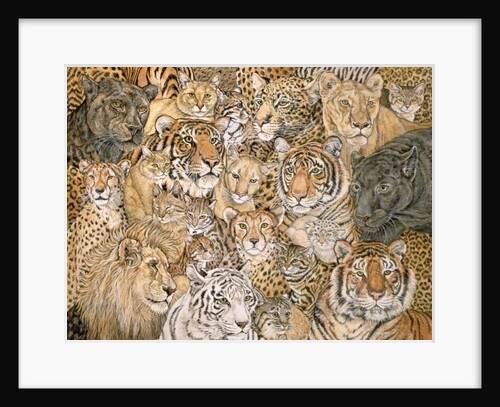 Wild Cat-Spread, 1992 by Ditz Ditz