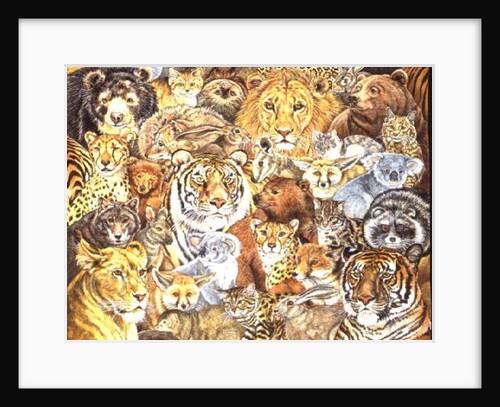 The Wild Bunch by Ditz Ditz