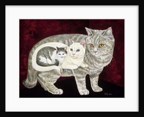 Russian Cat by Ditz Ditz