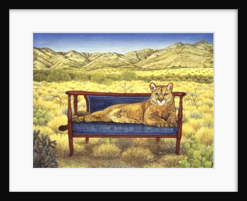 Millers' Mountain-Lion by Ditz Ditz