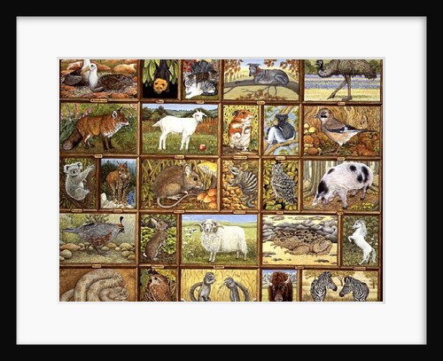 Alphabetical Animals by Ditz Ditz