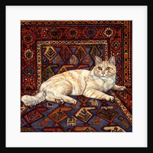 Shortcake, 1993 by Ditz Ditz