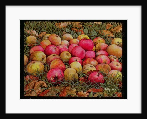 Durnitzhofer Apples, 1993 by Ditz Ditz