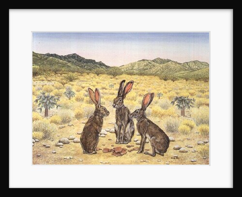 Elkhorn Conference, 1994 by Ditz Ditz