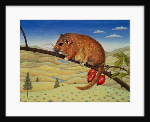 Dormouse Number Two, 1994 by Ditz Ditz