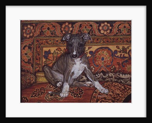 My Whippet Baby, 1994 by Ditz Ditz
