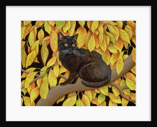 Autumn Leaves, 1994 by Ditz Ditz