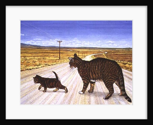 Saratoga Crossing, 1995 by Ditz Ditz