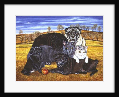 Hocking County Pug-Cats, 1995 by Ditz Ditz