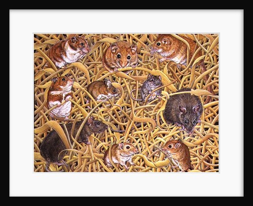 The Raiders of the Ark, 1995 by Ditz Ditz