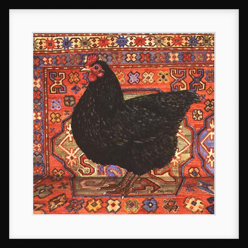 Black Carpet Chicken, 1995 by Ditz Ditz