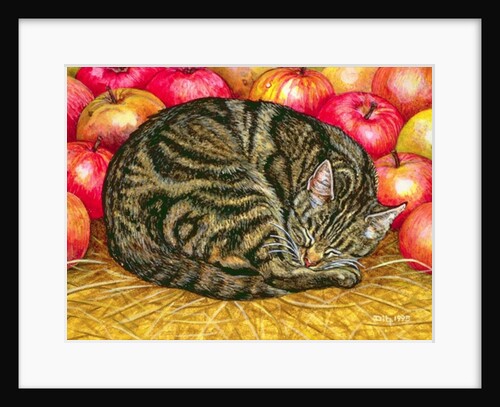 Left-Hand Apple-Cat, 1995 by Ditz Ditz