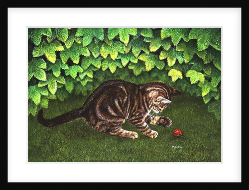 The Strawberry-Kitten, 1996 by Ditz Ditz