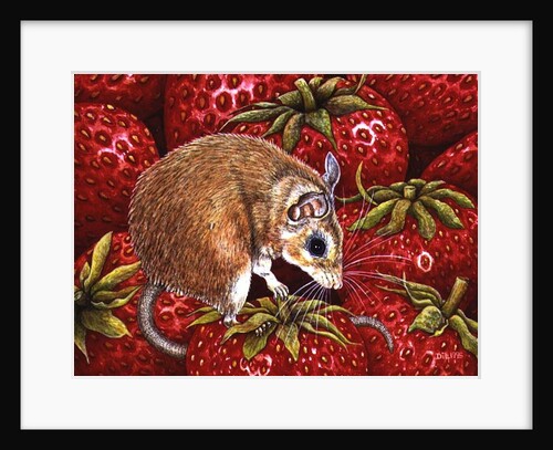Strawberry-Mouse, 1995 by Ditz Ditz