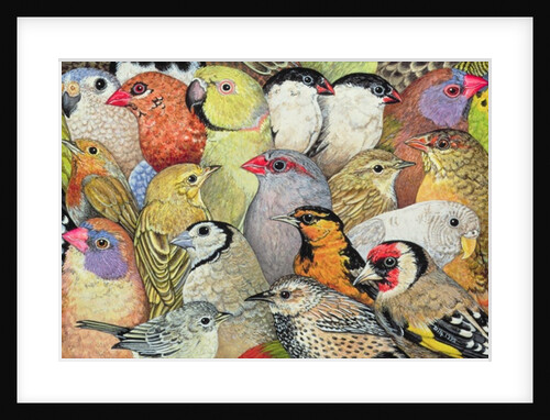 Patchwork-Birds, 1995 by Ditz Ditz