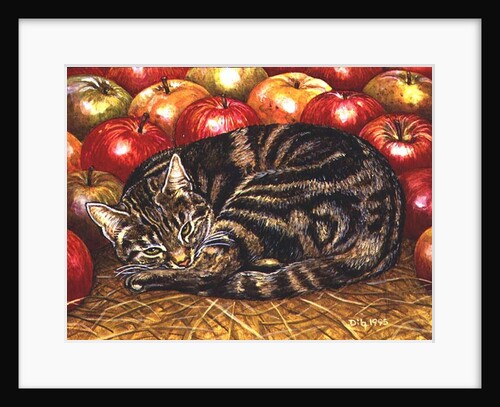 Right-Hand Apple-Cat, 1995 by Ditz Ditz