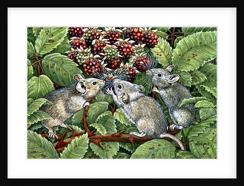 Blackberrying, 1996 by Ditz Ditz