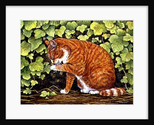 Wash-Day, 1996 by Ditz Ditz