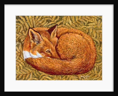 Cat-napping, 1997 by Ditz Ditz