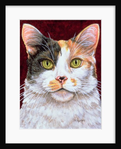 Marigold, 1997 by Ditz Ditz