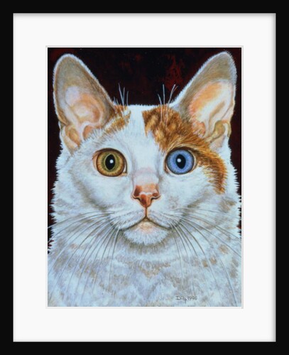 Minette, 1996 by Ditz Ditz