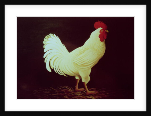 Rooster by Dory Coffee