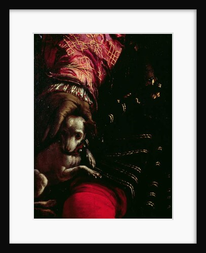 Detail of a dog from a painting of an unknown man by Nicolo dell Abate