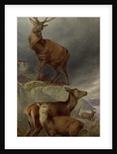 The Deer Forest by Richard Ansdell