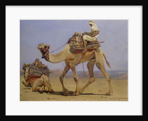 Camel Preparing to Lie Down, 1858 by Carl Haag