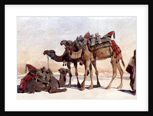 Resting with Three Camels in the Desert, 1859 by Carl Haag