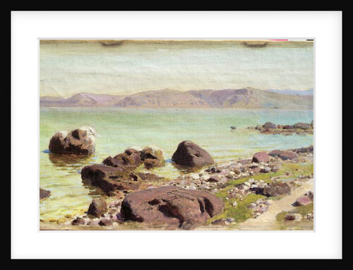 Rocky Shore, 1889 by Vasilij Dmitrievich Polenov