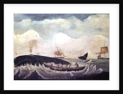 Whaling in the South Pacific by American School
