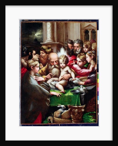 The Circumcision, c.1523 by Parmigianino (1503-40)