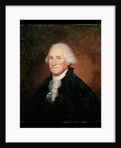 George Washington 1795 by Rembrandt Peale
