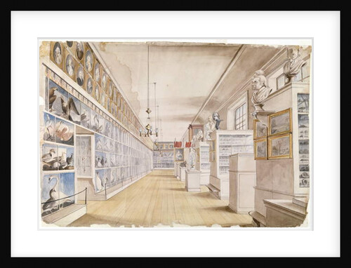 The Long Room, Interior of Front Room in Peale's Museum, 1822 by Charles Willson Peale