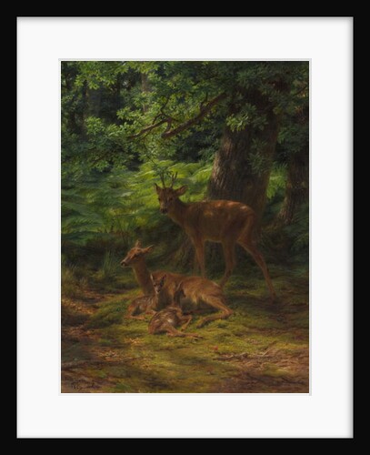 Deer in Repose, 1867 by Rosa Bonheur