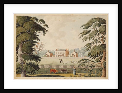 Belle Vue, the Seat Robert Reynolds, Esquire taken from the East by Catherine Reynolds