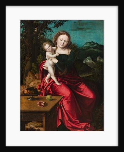 Madonna and Child, c.1515 by Master of the Parrot