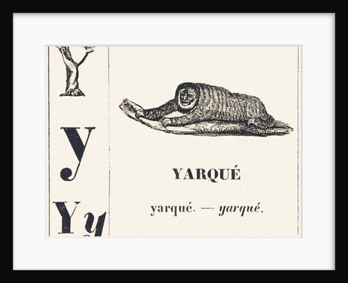 Y for Yarque, 1850 by Louis Simon Lassalle