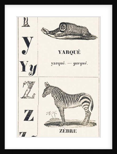 Y Z: Yarque — Zebra, 1850 by Louis Simon Lassalle