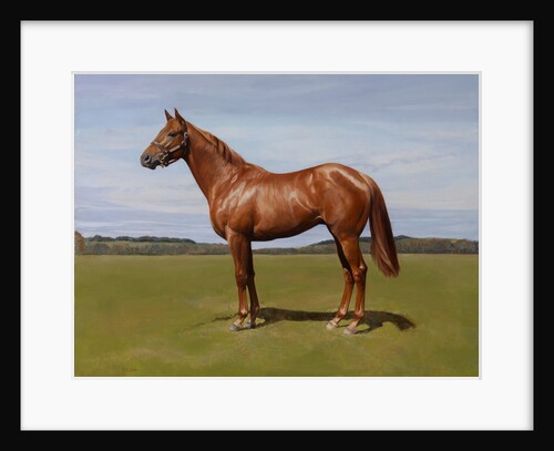 Colt, 2011 by Emma Kennaway