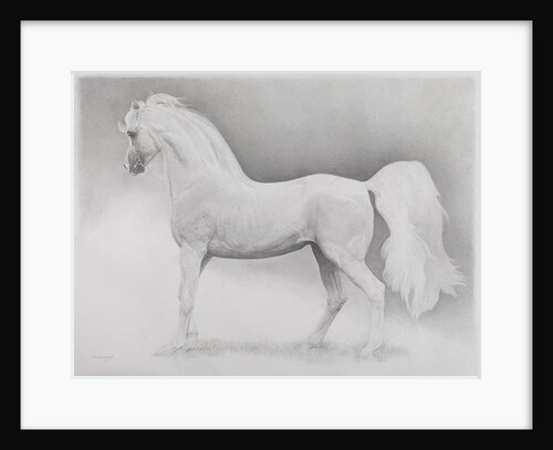 Moving Image, Series 2, 2013 by Emma Kennaway